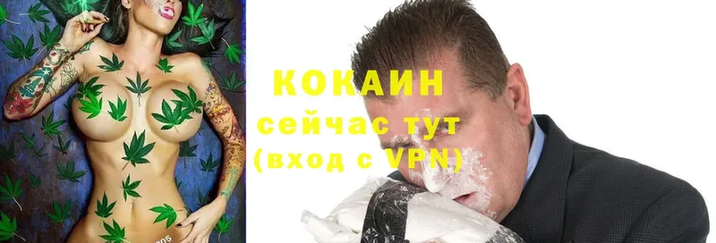 Cocaine Боливия Зубцов