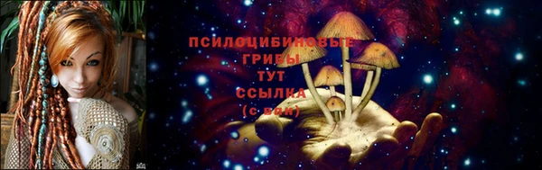 бутират Осинники