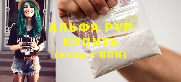 индика Пересвет