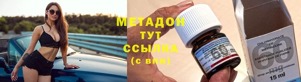 индика Пересвет