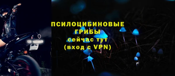 бутират Осинники