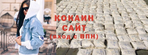 индика Пересвет