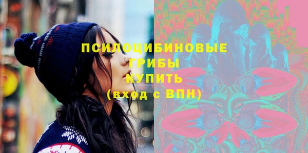 индика Пересвет