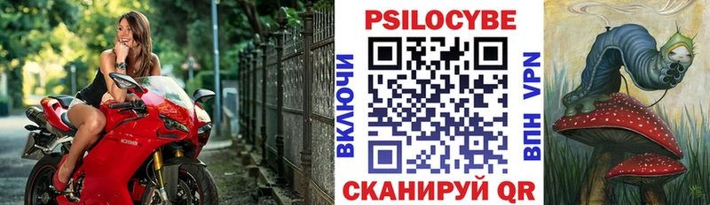 где купить наркоту  даркнет как зайти  Галлюциногенные грибы Magic Shrooms  Зубцов 