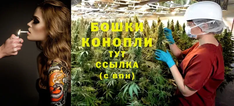 где можно купить   Зубцов  omg ССЫЛКА  Конопля OG Kush 